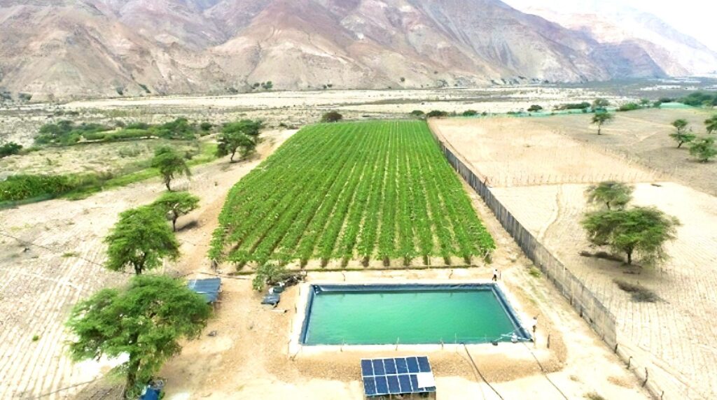 Sistema de Bombeo Solar Fotovoltaico en Cajamarca